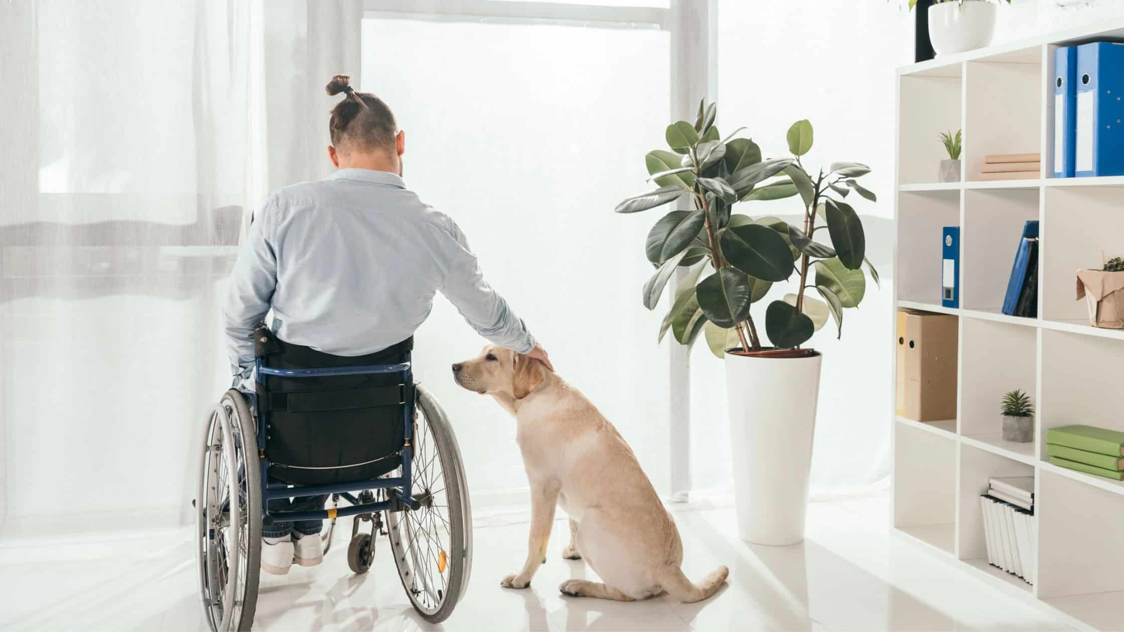 A man in a wheelchair petting his dog.